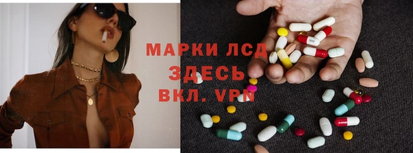 ПСИЛОЦИБИНОВЫЕ ГРИБЫ Арсеньев
