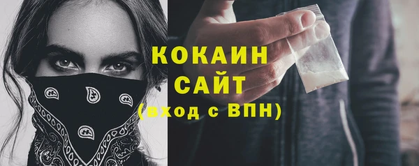ПСИЛОЦИБИНОВЫЕ ГРИБЫ Арсеньев