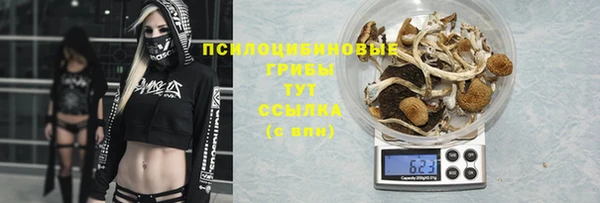 твердый Аркадак