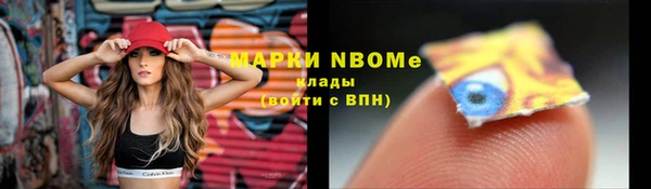 твердый Аркадак