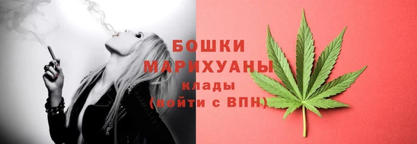 ПСИЛОЦИБИНОВЫЕ ГРИБЫ Арсеньев