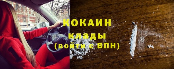 твердый Аркадак