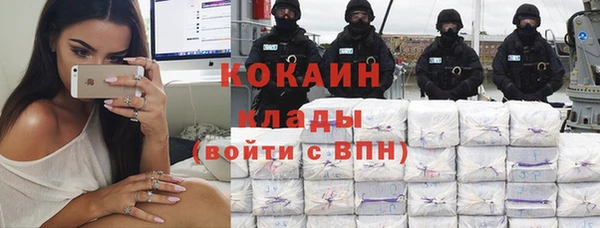 ПСИЛОЦИБИНОВЫЕ ГРИБЫ Арсеньев