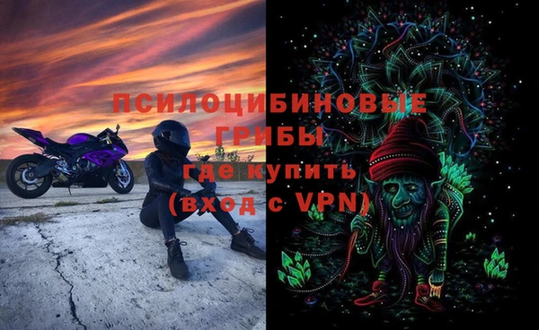 ПСИЛОЦИБИНОВЫЕ ГРИБЫ Арсеньев