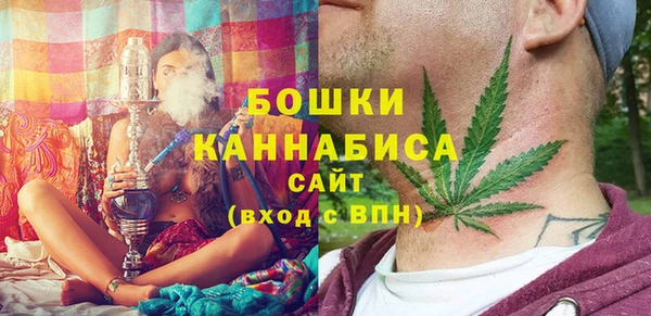ПСИЛОЦИБИНОВЫЕ ГРИБЫ Арсеньев