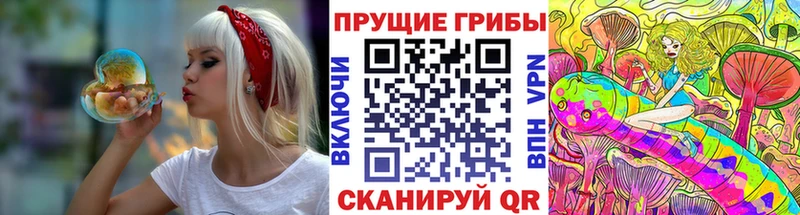 Псилоцибиновые грибы прущие грибы  Коряжма 